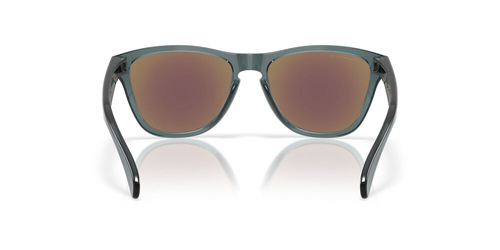 Zonnebrillen Man Oakley Frogskins S OO 9508 950805