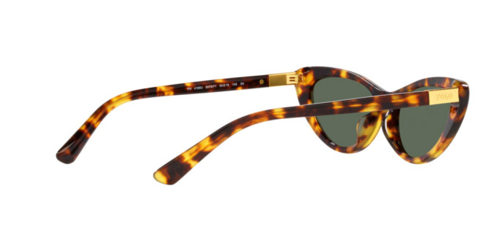 Zonnebril Vrouw Polo Ralph Lauren  PH 4199U 607871