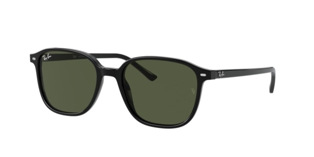 Zonnebril Man Vrouw Ray-Ban Leonard RB 2193 901/31