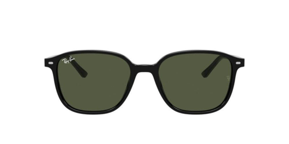Zonnebril Man Vrouw Ray-Ban Leonard RB 2193 901/31