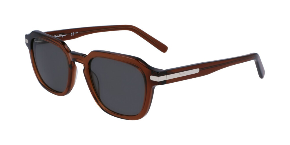 Zonnebril Man Salvatore Ferragamo  SF1089S 278