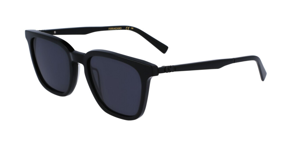 Zonnebril Man Salvatore Ferragamo  SF1100S 001