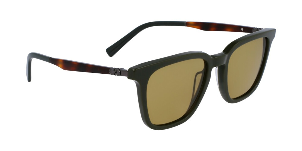 Zonnebril Man Salvatore Ferragamo  SF1100S 302