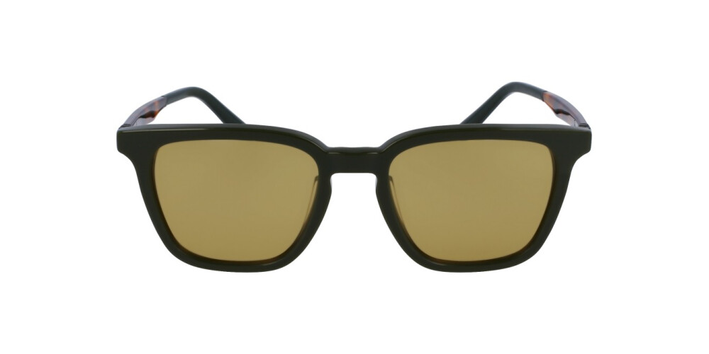 Zonnebril Man Salvatore Ferragamo  SF1100S 302