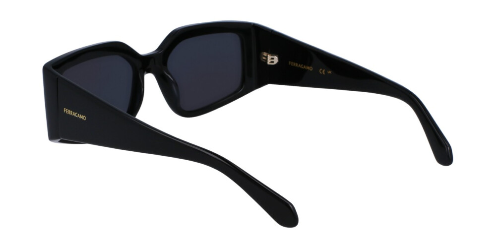 Zonnebril Vrouw Salvatore Ferragamo  SF1101S 001