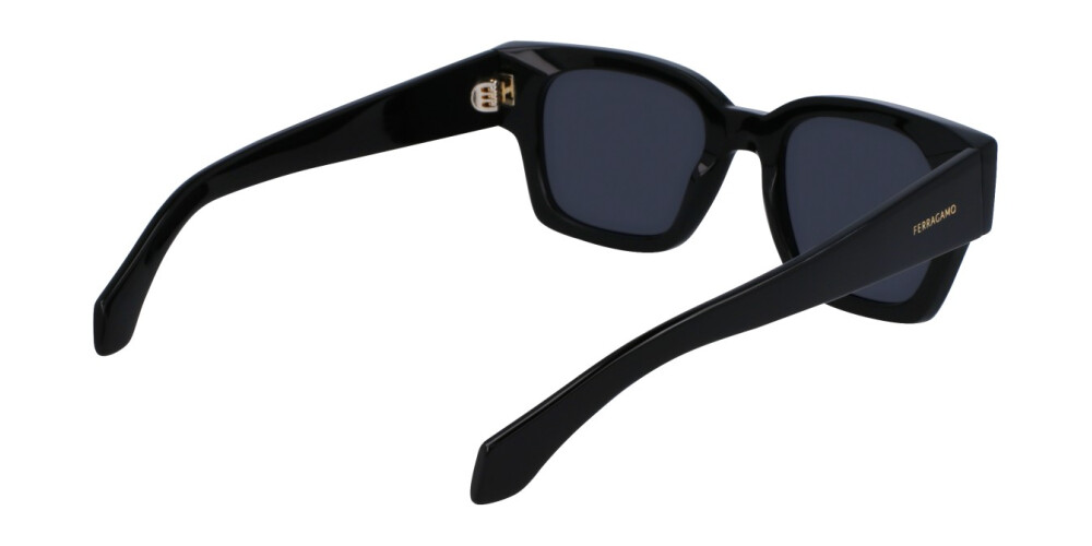 Zonnebril Man Salvatore Ferragamo  SF2010S 001