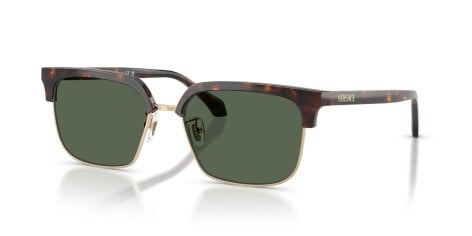 Versace VE 4494D (108/71)