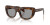 Prada PR D07S (20D50Q)