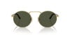 Persol PO 1019S (515/31)