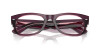 Ray-Ban Mega Wayfarer II RX 0832V (8364) - RB 0832V 8364