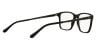 Ralph Lauren RL 6133 (5001)