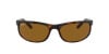 Ray-Ban Predator RB 2027 (650833)