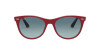 Ray-Ban Wayfarer ii RB 2185 (12963M)