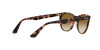 Ray-Ban Wayfarer ii RB 2185 (133451)