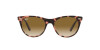 Ray-Ban Wayfarer ii RB 2185 (133451)