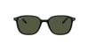 Ray-Ban Leonard RB 2193 (901/31)