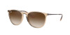 Ray-Ban Erika Color Mix RB 4171 (651413)