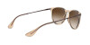 Ray-Ban Erika Color Mix RB 4171 (651413)