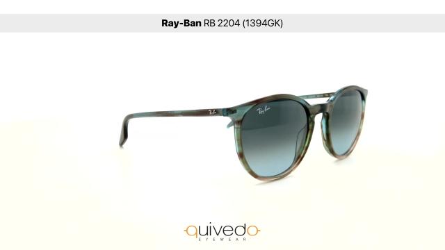 Ray-Ban RB 2204 (1394GK)